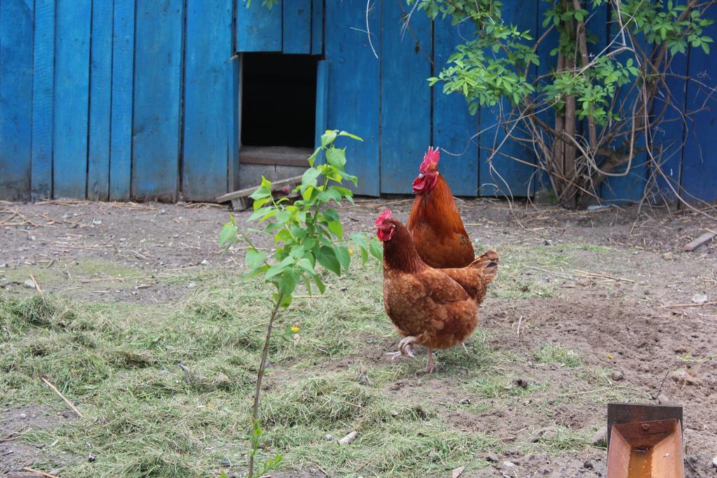 Agroturystyka Kociewiak Szteklin ภายนอก รูปภาพ